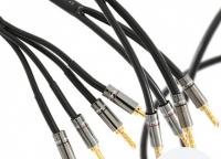 Atlas Hyper Bi-Wire (4 to 4) 2.0m [Transpose Z plug Gold]