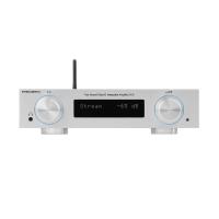Интегральный стереоусилитель Premiera D1S Silver