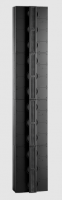 Steinway Lyngdorf LS Centre Speaker module