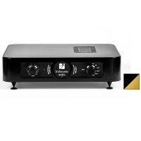 Trafomatic Audio Reference Line One (black/gold finish) в магазине adk/audio
