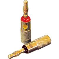 Dynavox BANANA RED/BLACK (205095)